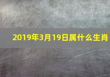 2019年3月19日属什么生肖