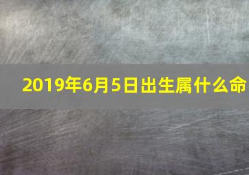 2019年6月5日出生属什么命