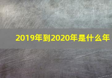 2019年到2020年是什么年