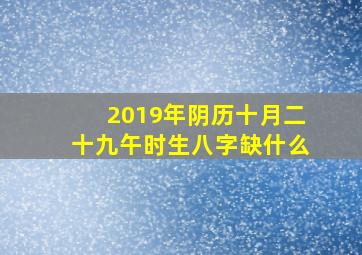 2019年阴历十月二十九午时生八字缺什么