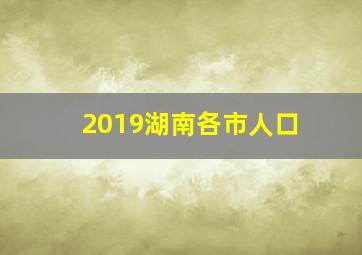 2019湖南各市人口