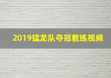 2019猛龙队夺冠教练视频