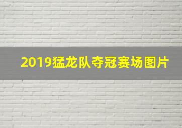 2019猛龙队夺冠赛场图片