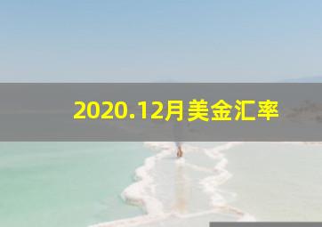 2020.12月美金汇率