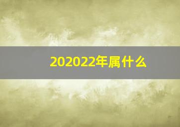 202022年属什么