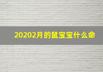 20202月的鼠宝宝什么命