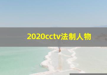 2020cctv法制人物