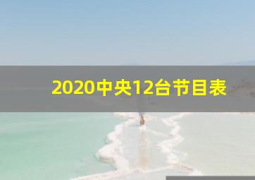 2020中央12台节目表