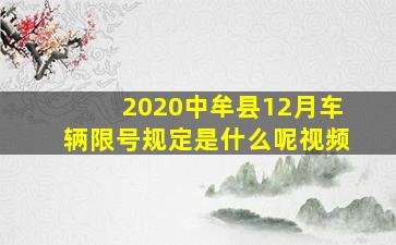 2020中牟县12月车辆限号规定是什么呢视频