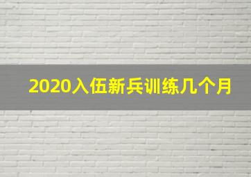 2020入伍新兵训练几个月