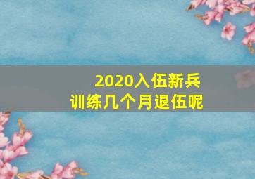 2020入伍新兵训练几个月退伍呢