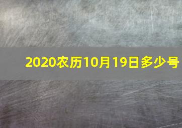 2020农历10月19日多少号