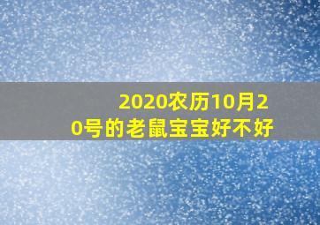 2020农历10月20号的老鼠宝宝好不好