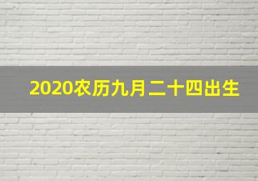 2020农历九月二十四出生