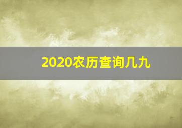 2020农历查询几九