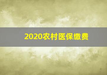 2020农村医保缴费