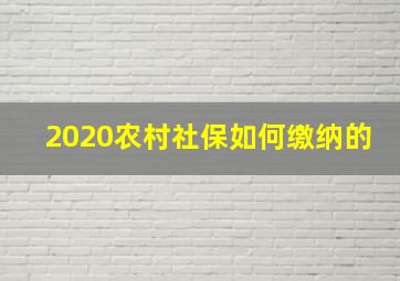 2020农村社保如何缴纳的