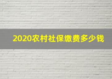 2020农村社保缴费多少钱