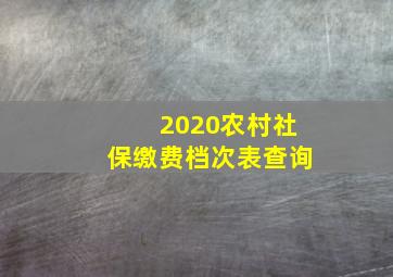 2020农村社保缴费档次表查询