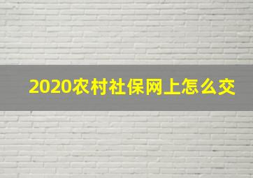 2020农村社保网上怎么交