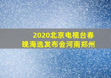 2020北京电视台春晚海选发布会河南郑州