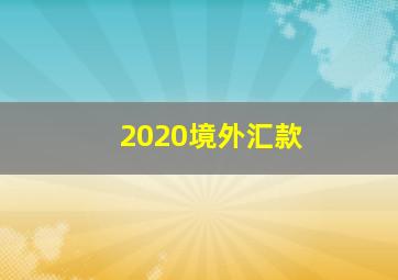 2020境外汇款