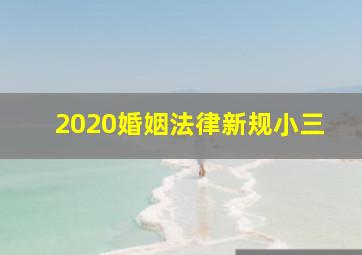 2020婚姻法律新规小三