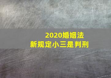 2020婚姻法新规定小三是判刑