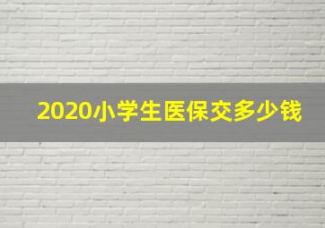 2020小学生医保交多少钱