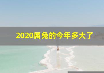 2020属兔的今年多大了