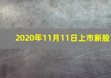 2020年11月11日上市新股