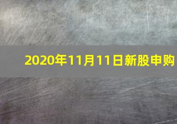 2020年11月11日新股申购