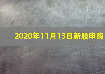 2020年11月13日新股申购