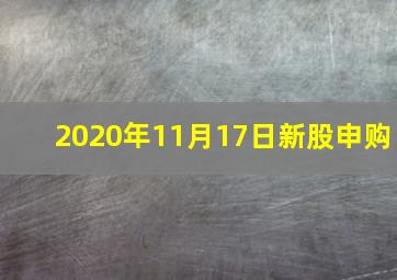 2020年11月17日新股申购