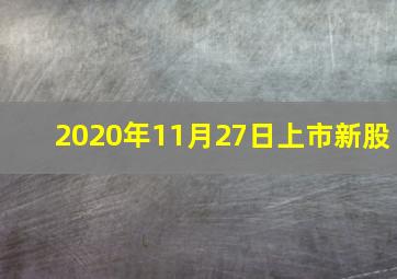 2020年11月27日上市新股