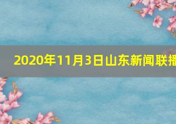 2020年11月3日山东新闻联播