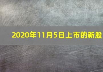 2020年11月5日上市的新股