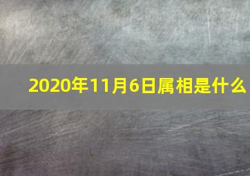 2020年11月6日属相是什么