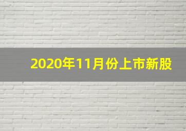 2020年11月份上市新股