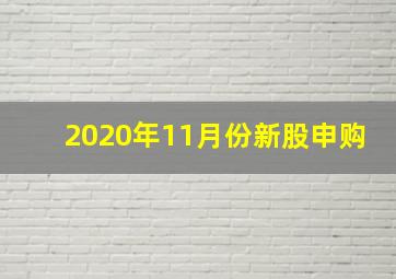 2020年11月份新股申购