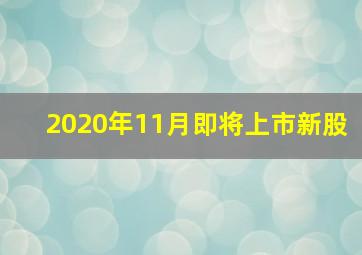 2020年11月即将上市新股