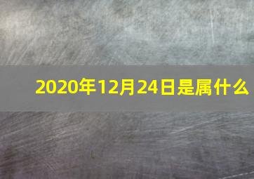 2020年12月24日是属什么