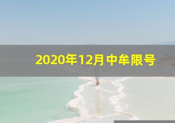 2020年12月中牟限号