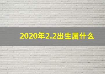 2020年2.2出生属什么