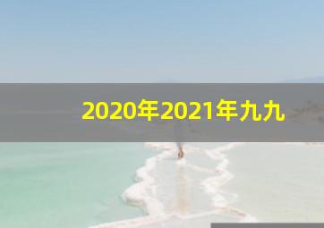 2020年2021年九九