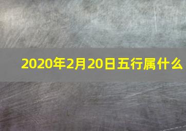 2020年2月20日五行属什么