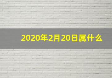 2020年2月20日属什么