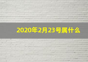 2020年2月23号属什么