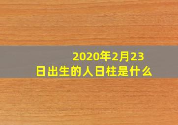 2020年2月23日出生的人日柱是什么