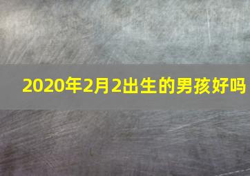 2020年2月2出生的男孩好吗